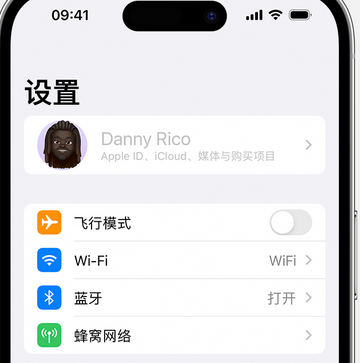 新盈镇appleID维修服务iPhone设置中Apple ID显示为灰色无法使用 