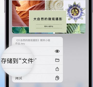 新盈镇apple维修中心分享iPhone文件应用中存储和找到下载文件