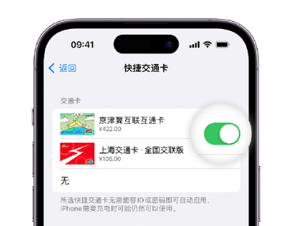 新盈镇apple维修点分享iPhone上更换Apple Pay快捷交通卡手绘卡面 