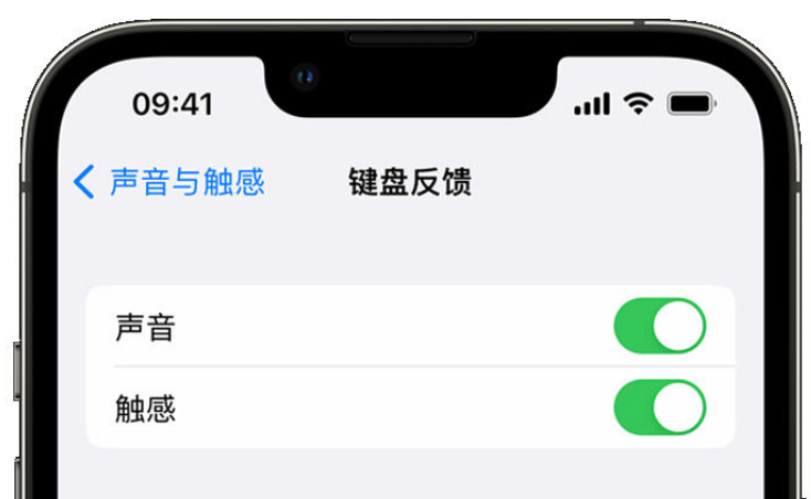 新盈镇苹果手机维修分享iPhone 14触感键盘使用方法 