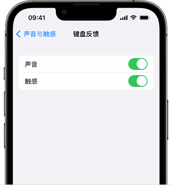 新盈镇苹果14维修店分享如何在 iPhone 14 机型中使用触感键盘 