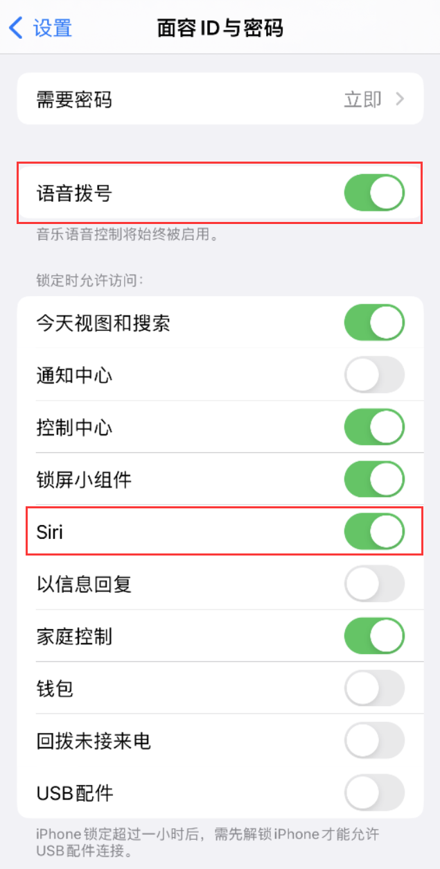 新盈镇苹果维修网点分享不解锁 iPhone 的情况下通过 Siri 拨打电话的方法 