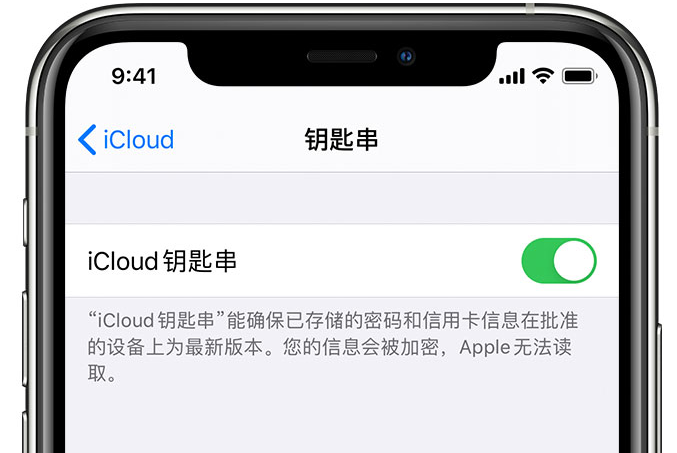 新盈镇苹果手机维修分享在 iPhone 上开启 iCloud 钥匙串之后会储存哪些信息 