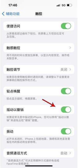 新盈镇苹果手机维修分享iPhone手机如何设置摇一摇删除文字 