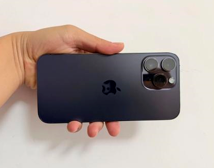 新盈镇苹果维修点分享iPhone 14 Pro Max发烫多重诱因剖析 